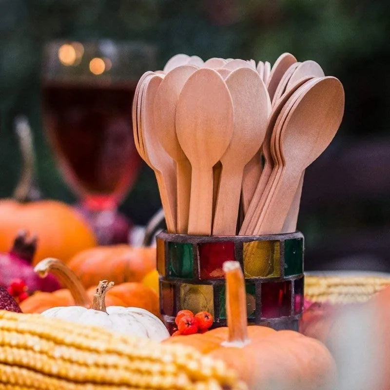 High Quality Natural Disposable Wooden Spoons Set with Great Grade Food Quality